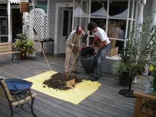 Tiburon Art Festival- Transporting Dirt for the Earth Mound