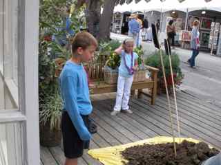 Tiburon Art Festival- Qi Gong Master 1