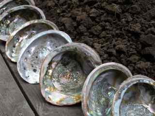 Tiburon Art Festival- Abalone Shells, Earth and Wood