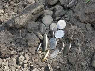 Tiburon Art Festival- Coins on Earth Mound
