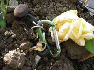 Tiburon Art Festival- Keys on Earth Mound