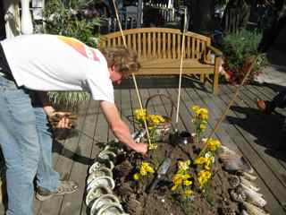 Tiburon Art Festival- Placing Railroad Spikes