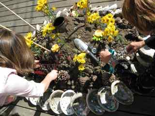 Tiburon Art Festival-Placing Pinecones