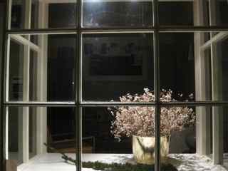Elixir's Eighth Feng Shui Window- Exterior Night/in process