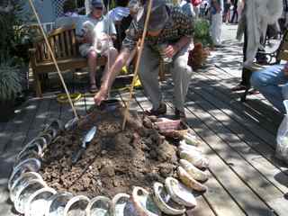 Tiburon Art Festival- Senior Activation