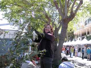 Tiburon Art Festival- Heather Martin Adorns a Tree