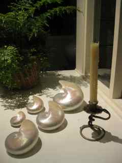 Elixir of Belvedere-Tiburon, California Elixir of Belvedere-Tiburon, California