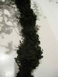 Elixir's Eighth Feng Shui Window- Oak Branch Detail